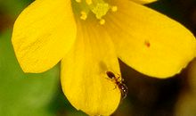 张鑫龙：长寿的人都有哪些面相特征