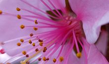 婚姻情感不够稳定的夫妻面相组合