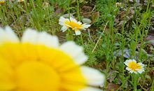 生命线的手相特征都有哪些特殊之处