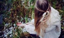 宋韶光2021年属兔人运程 牛年属兔人每月运势详解