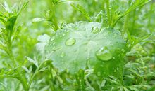 从眼睛特征来看女性婚姻运势的好坏