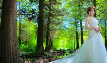 苏民峰2021年属龙人运势解析 牛年属龙人运程排行榜