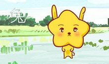 2021年生肖兔农历十二月运势格局怎么样