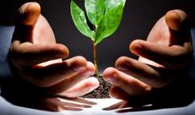 你是否有较强的执行力