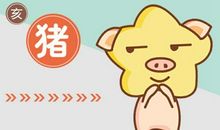2021属猪最好的增旺运势方法有什么