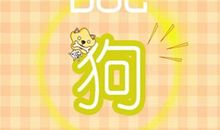 2021年属狗5月运势运程有什么变化