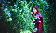 郑博士2020年12月2日生肖运势