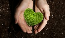 能赚钱，却不会省钱的男人手相都有这些特点！