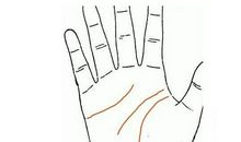 自主创业能成功的手相图解