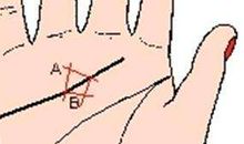 老公会出轨的手相