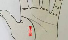 生命线末端分叉图解