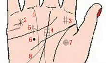 9种手纹的女人命好