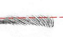 高低眉面相好不好