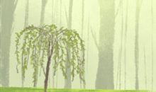 2014年四月开池吉日查询