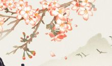 四川甘孜十里桃林 桃花的形状特征