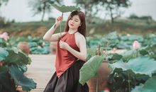 郑博士2020年12月4日生肖运势