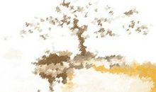 土命人干什么容易发财 哪个季节运势最旺