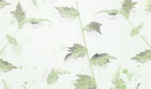 和你上床是因为他真的爱你吗？