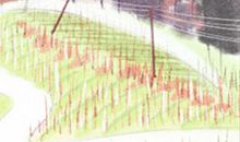 哪个星座最爱老牛吃嫩草？