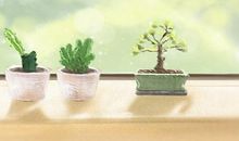 双子座的爱情开运宝术