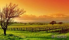 破太岁是什么意思？