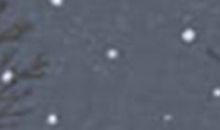 FPA乐嘉性格色彩测试