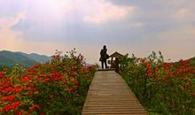 2014年捕捉吉日查询表