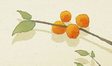 梦见樱桃树上结满红樱桃我还吃了有什么征兆