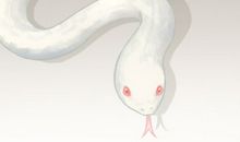 梦到白金蛇预示着什么意思