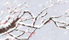 梦见梅花有什么含义