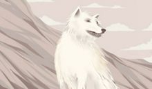 梦见好多狼什么预兆