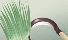 怀孕梦见韭菜是吉是凶