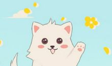 做梦梦到花猫和黑猫预示着什么