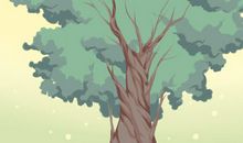 梦到白色的大树是怎么回事