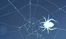 女人梦见蜘蛛咬自己 象征着什么