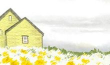 怒族乐器有哪些，常见日常乐器