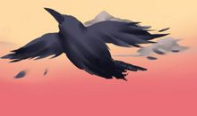 孕妇做梦梦到黑乌鸦有什么寓意和预兆