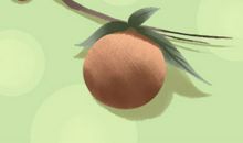 孕妇梦见樱桃是什么意思