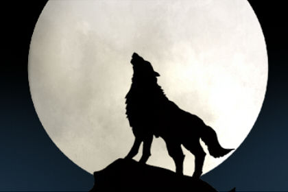 梦想着狼的标志是什么？