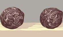 女人梦见吃核桃是什么意思