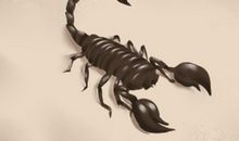 梦到蝎子蛰到自己腿了预示着什么意思