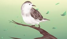 梦见鸟和几只小鸟宝宝是什么意思 预兆