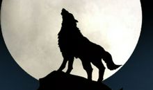 女人梦见杀狼是什么意思