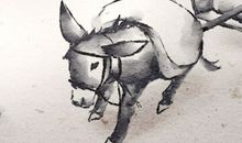 梦见驴拉车什么意思