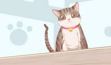 梦到猫在我床上赶不走预示着什么