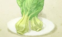 梦到绿叶菜是啥意思