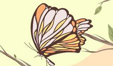 梦见蝴蝶翩翩飞什么意思