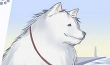 缺火的女孩名字大全集属牛 女孩响亮的名字