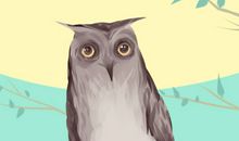 已婚女人梦见猫头鹰是怎么回事