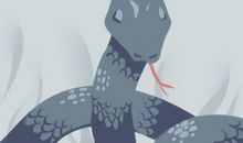 梦见小蛇爬到身上是什么意思 预兆